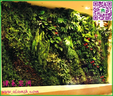 廚房固定植物墻澆灌系統