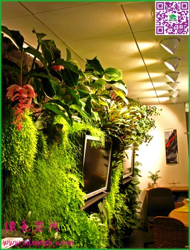 客廳固定植物墻供應廠家