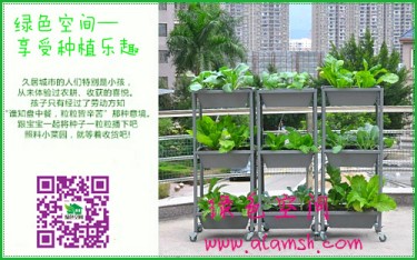 沈陽固定植物墻的益處