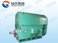 西安物超所值的YKK系列高壓電動機【品牌推薦】|YKK系列高壓電動機批發價錢如何