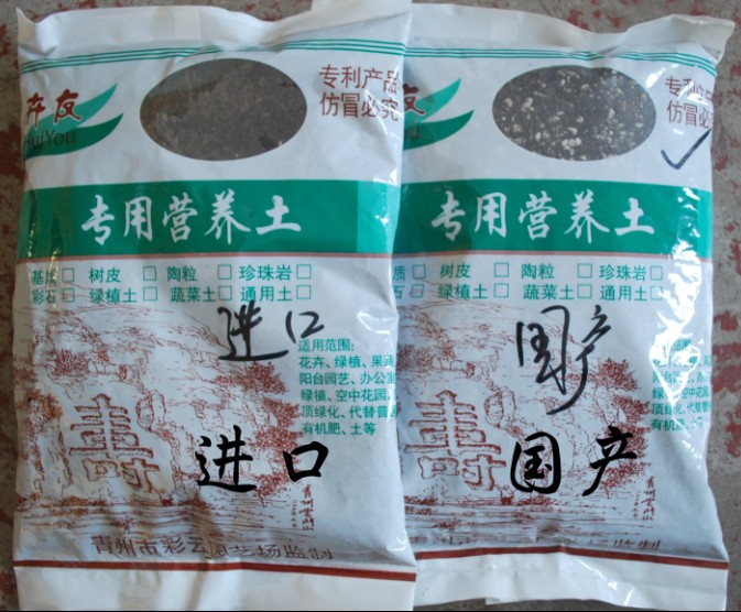 濰坊優(yōu)質(zhì)的銀葉菊·廠家直銷：山東銀葉菊代理