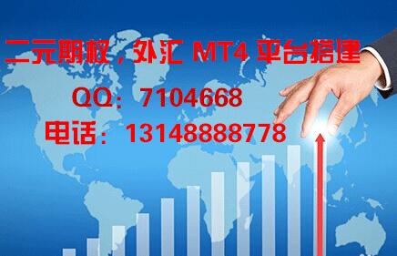 mt4搭建出租專業(yè)二元期權交易軟件開發(fā)定制