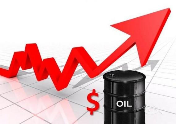 廈門專業(yè)的原油投資公司推薦——資深的原油投資