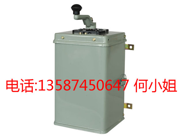 KT14-100A觸點廠家直銷凸輪控制器觸頭銀點