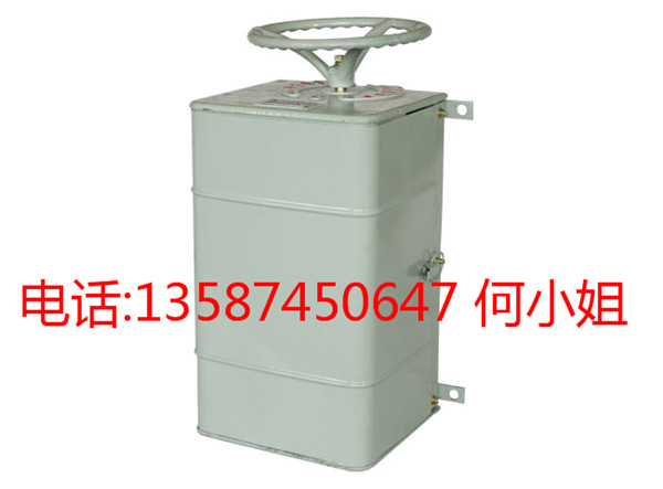 KTJ15-32/1L KTJ15-32/5L凸輪控制器廠家供應(yīng)