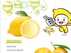 檸檬干專賣店_價位合理的檸檬干【供銷】