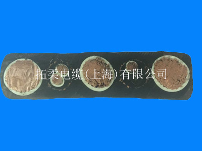供應上海拓柔大平方3X150|3X120|斗輪堆取料機專用扁電纜、斗輪機電纜、特種電纜