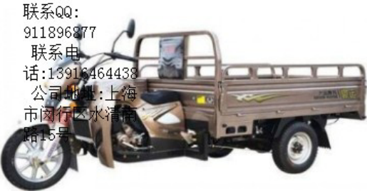 大運150水冷三輪摩托車原始圖片2
