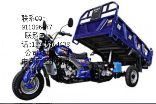 隆鑫新途悅200自卸三輪摩托車(chē)tj大甩賣(mài)