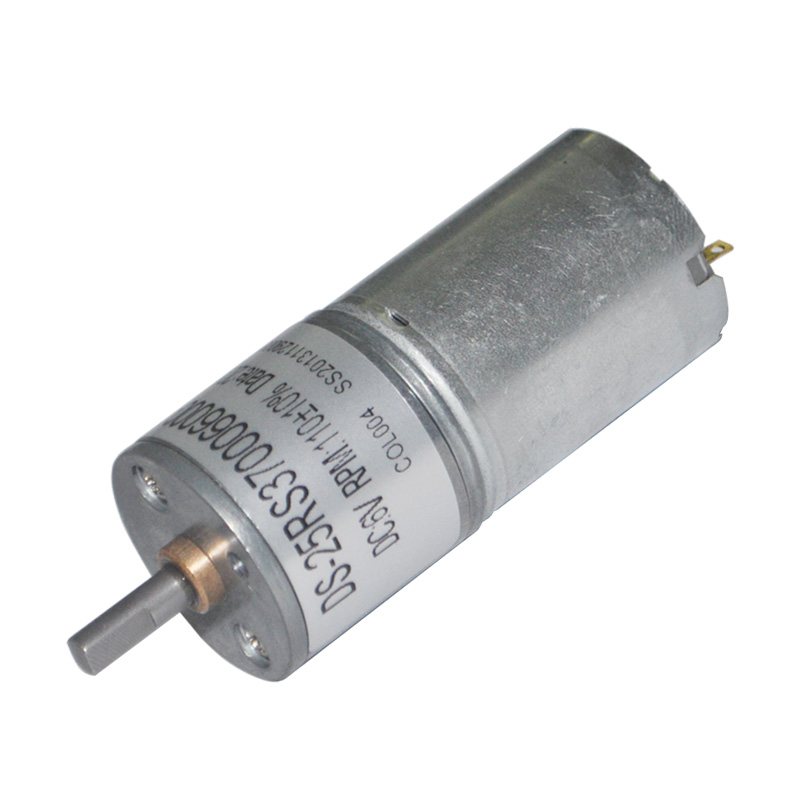 瑞麗直流減速電機(jī)
