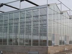玻璃溫室大棚建造專業公司：中國溫室大棚