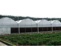 有口碑的連棟溫室大棚建造推薦 連棟溫室大棚建造