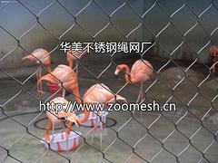 宜昌鋼絲繩網——誠心為您推薦石家莊地區優質鋼絲繩網