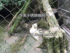 質(zhì)量好的動(dòng)物園圍網(wǎng)品牌推薦  ：不銹鋼圍網(wǎng)