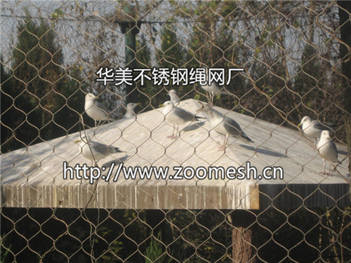 優(yōu)質(zhì)的動物園圍網(wǎng)品牌推薦  ——遼寧動物園圍網(wǎng)