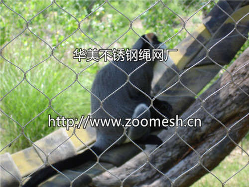 動物圍網(wǎng)/動物園防護網(wǎng)/動物籠舍——華美不銹鋼繩網(wǎng)