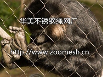 動物籠舍防護網(wǎng)：現(xiàn)在具有口碑的不銹鋼金屬絲網(wǎng)價格行情