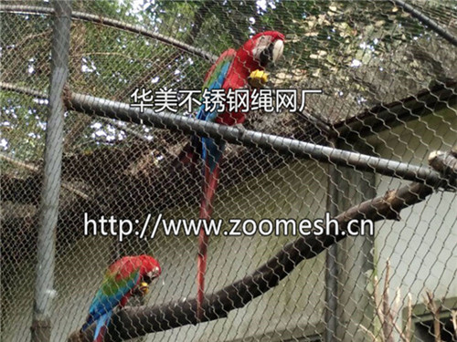 不銹鋼繩網專業生產廠家——鋼絲繩網