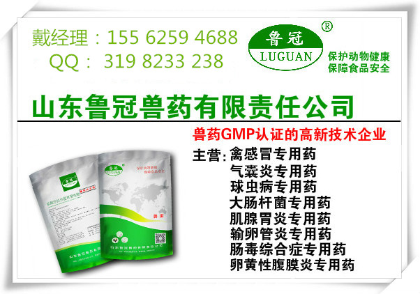 家禽得了禽流感怎么辦 禽流感用smyzl 魯冠感康