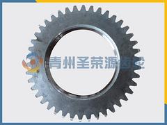 重慶汽車齒輪：圣榮源齒輪公司提供專業(yè)電動(dòng)汽車齒輪