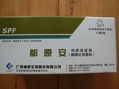 畜禽中藥止痢代理加盟：四川牧生源供應物超所值的中亞痢克