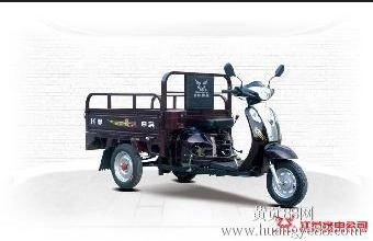 宗申T2世紀(jì)新星風(fēng)冷三輪摩托車tj甩賣原始圖片2