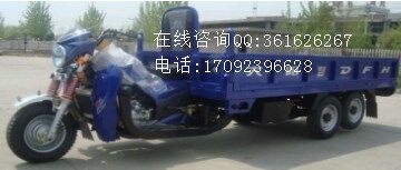 大陽帶簡易棚三輪摩托車