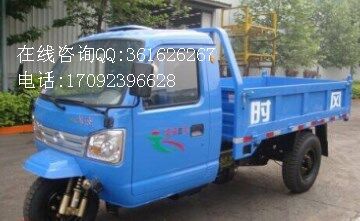 時(shí)風(fēng)風(fēng)云1號單排帶自卸功能三輪車廠家tj