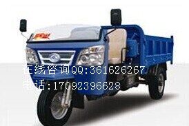 福田五星半封閉自卸三輪車(chē)大批發(fā)原始圖片3