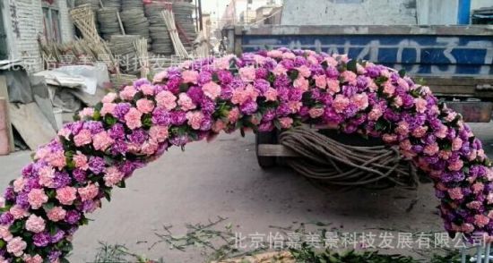 北京鲜花批发 北京开业花篮预定