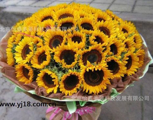 北京生日鮮花禮品 北京平谷區(qū)鮮花預(yù)定 情人節(jié)玫瑰花束價(jià)格