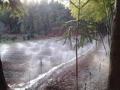 雨順灌溉設備出售劃算的園林灌溉系統，寧德灌溉設備