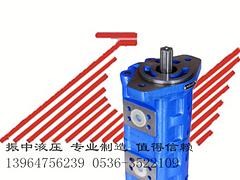 濰坊知名漁船專用馬達(dá)廠家：漁船齒輪泵馬達(dá)廠家