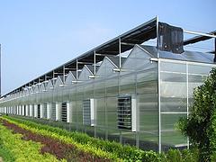 紋絡式溫室大棚供應商|想建紋絡式溫室大棚就到宏晟自動化溫室工程