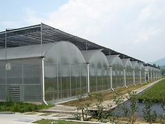 【薦】優(yōu)質(zhì)的日光溫室建造_日光溫室報價