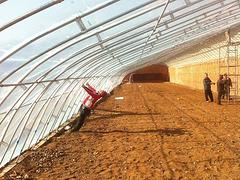 想要{yl}的日光溫室建造就找宏晟自動化溫室工程_建造薄膜連棟大棚