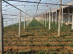 [點贊]魯泰=【灌漿膜批發價格—咨詢！】+【安徽灌漿膜廠家】