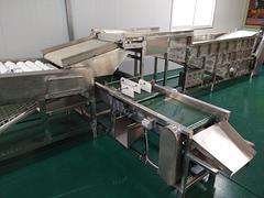 酒店食堂洗碗機 新款食堂洗碗機華碩機械供應