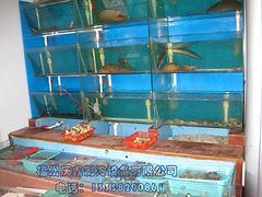 海鮮池價格_慶鑫制冷設備公司海鮮池好不好