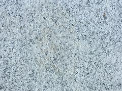 芝麻白供應(yīng)|口碑好的芝麻白哪里有賣