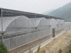 西藏牛羊溫棚板 知名廠家為您推薦新品牛羊溫棚專用板