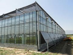 智能連棟溫室工程報(bào)價(jià) 山東智能連棟溫室工程公司