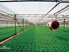 連棟生態(tài)餐廳溫室建造 【薦】高質(zhì)量的生態(tài)溫室建造