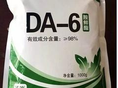 供應(yīng)食品包裝袋——哪里能買到物超所值的食品包裝袋