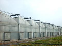 山東結實耐用的溫室大棚建造_濰坊日光大棚