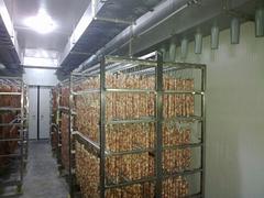 【薦】設計新穎的商用電磁爐扒爐供銷——柳州商用電磁爐
