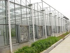 軒農溫室園藝——哪兒有品牌好的紋絡式溫室大棚