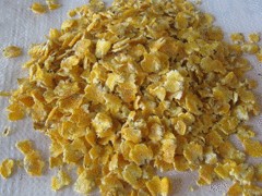 羊飼料玉米壓片多少錢 要買口碑好的羊飼料玉米壓片，青州永祥是besz