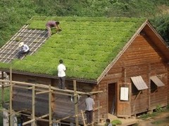 口碑好的屋頂綠化上哪找，屋頂綠化哪里有