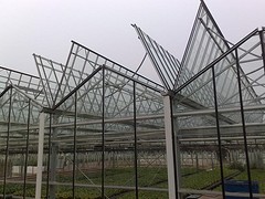 淄博冬暖式日光溫室，建強(qiáng)日光溫室_給你不一樣的效果